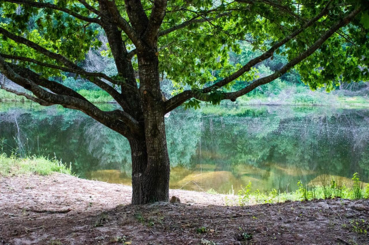 Вілла Quinta Da Lontra Табуа Екстер'єр фото