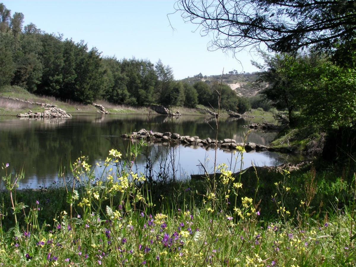 Вілла Quinta Da Lontra Табуа Екстер'єр фото